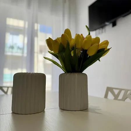 Terramata Apartman