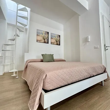 Terramata 테라시니